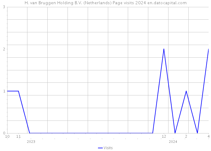 H. van Bruggen Holding B.V. (Netherlands) Page visits 2024 