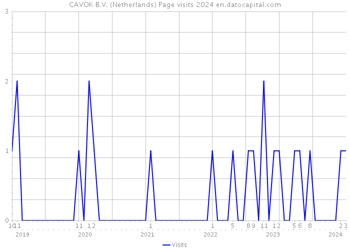 CAVOK B.V. (Netherlands) Page visits 2024 