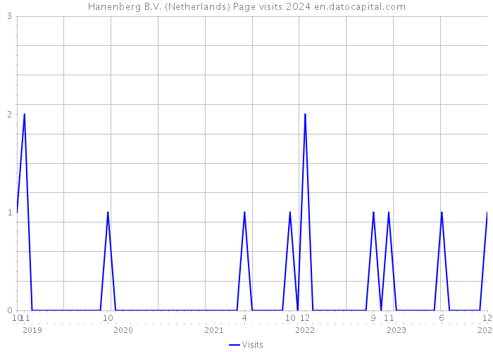 Hanenberg B.V. (Netherlands) Page visits 2024 
