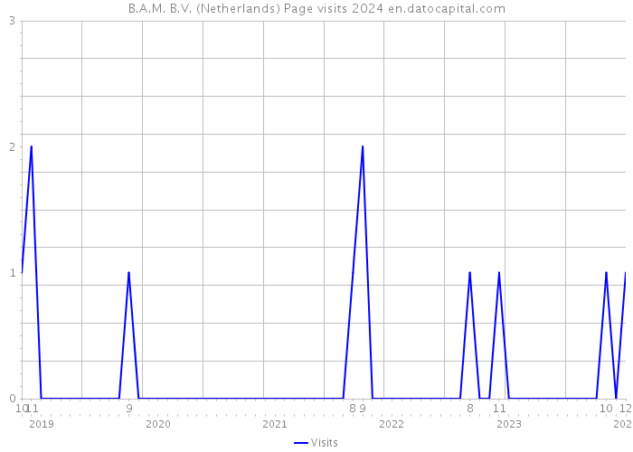 B.A.M. B.V. (Netherlands) Page visits 2024 