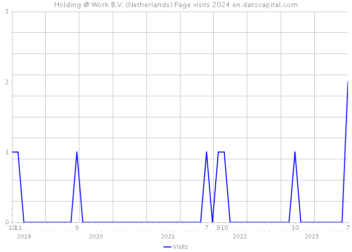 Holding @ Work B.V. (Netherlands) Page visits 2024 