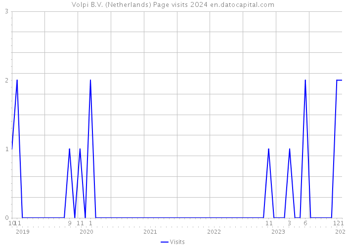 Volpi B.V. (Netherlands) Page visits 2024 