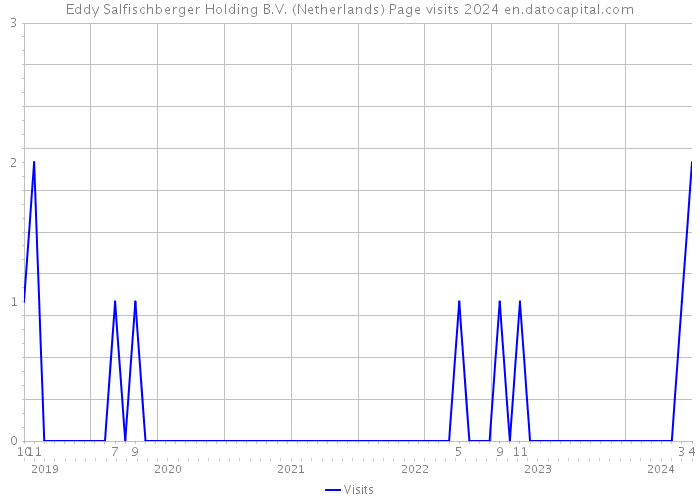 Eddy Salfischberger Holding B.V. (Netherlands) Page visits 2024 