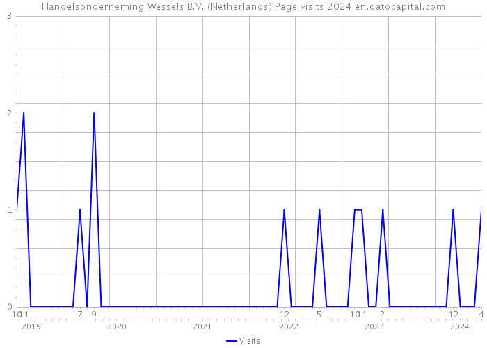 Handelsonderneming Wessels B.V. (Netherlands) Page visits 2024 
