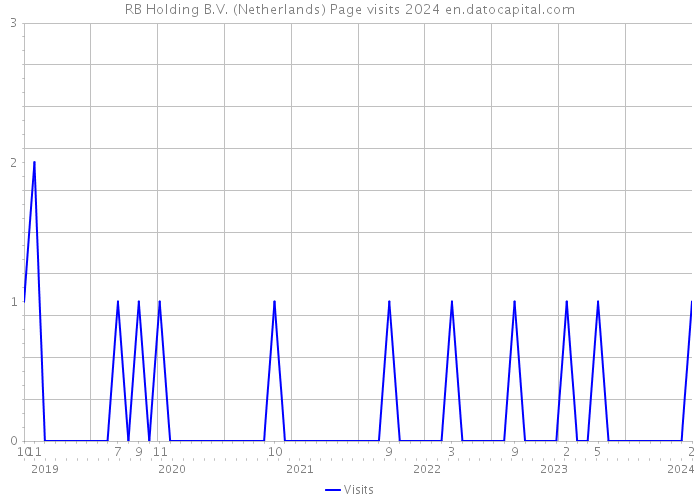 RB Holding B.V. (Netherlands) Page visits 2024 