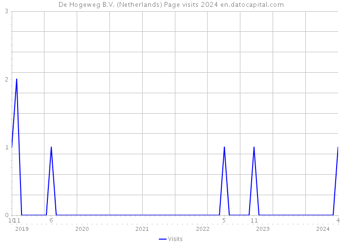 De Hogeweg B.V. (Netherlands) Page visits 2024 