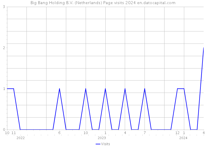 Big Bang Holding B.V. (Netherlands) Page visits 2024 