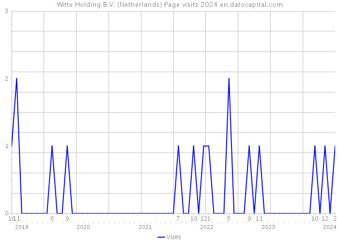 Witte Holding B.V. (Netherlands) Page visits 2024 