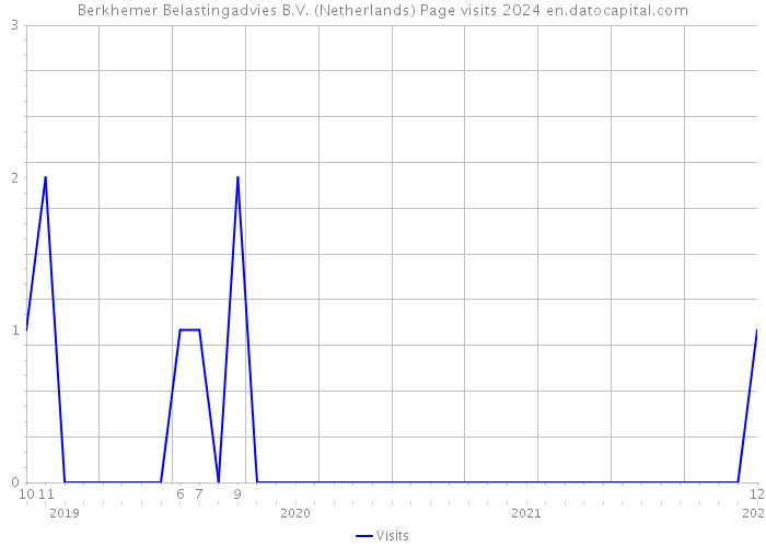 Berkhemer Belastingadvies B.V. (Netherlands) Page visits 2024 
