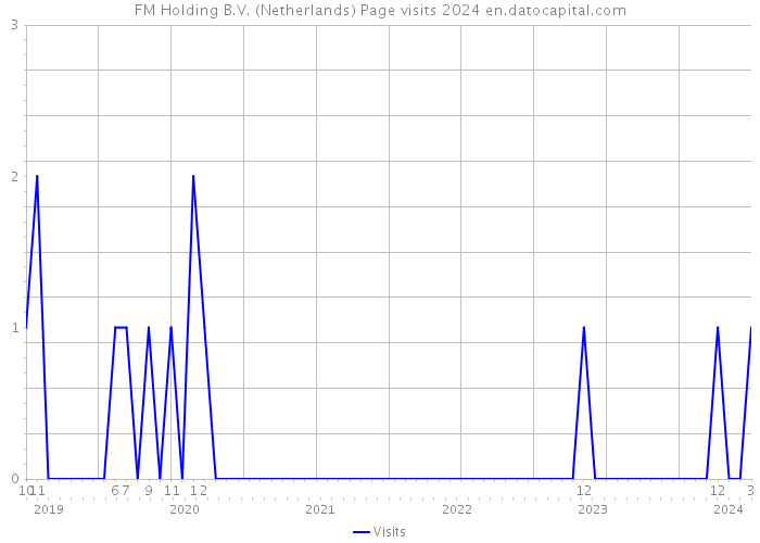FM Holding B.V. (Netherlands) Page visits 2024 