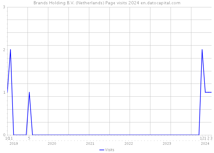 Brands Holding B.V. (Netherlands) Page visits 2024 