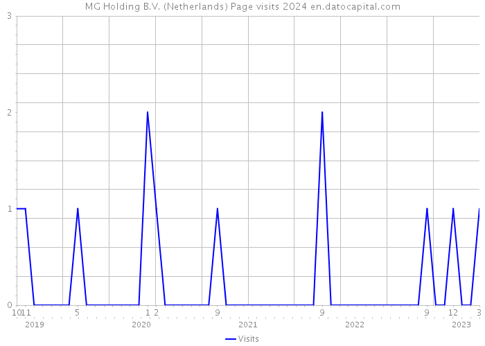 MG Holding B.V. (Netherlands) Page visits 2024 
