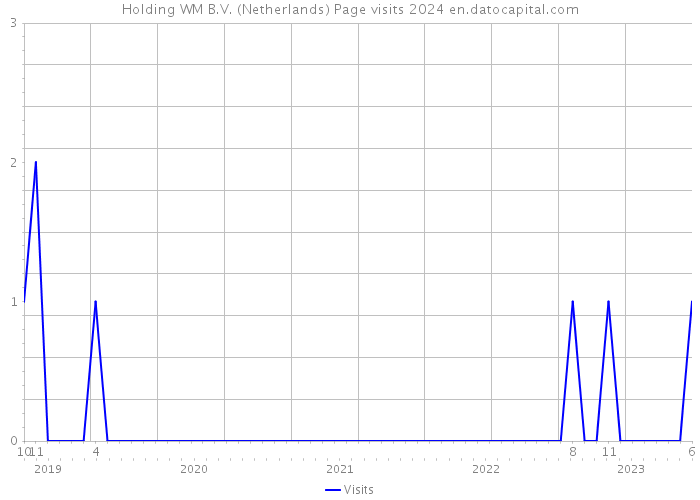 Holding WM B.V. (Netherlands) Page visits 2024 