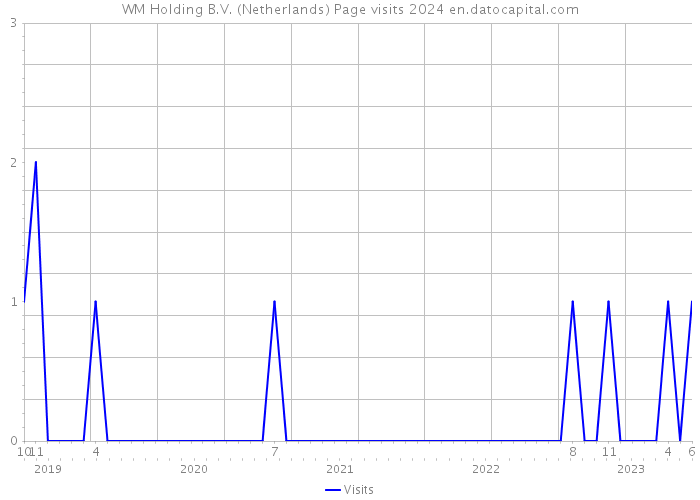 WM Holding B.V. (Netherlands) Page visits 2024 