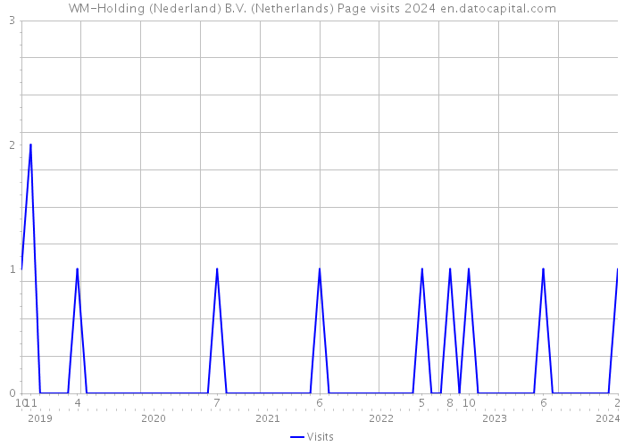 WM-Holding (Nederland) B.V. (Netherlands) Page visits 2024 