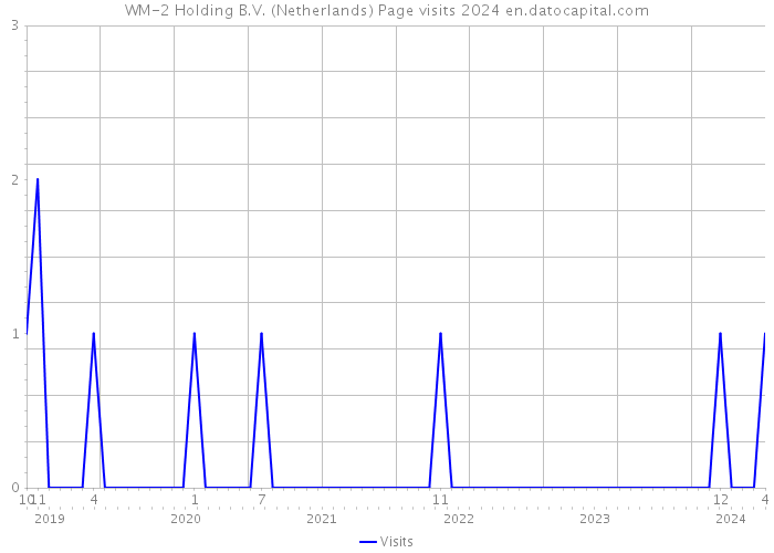 WM-2 Holding B.V. (Netherlands) Page visits 2024 