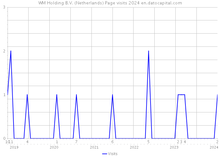 WM Holding B.V. (Netherlands) Page visits 2024 