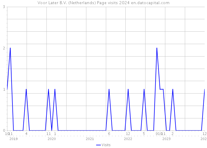 Voor Later B.V. (Netherlands) Page visits 2024 
