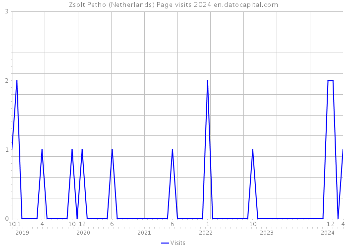 Zsolt Petho (Netherlands) Page visits 2024 