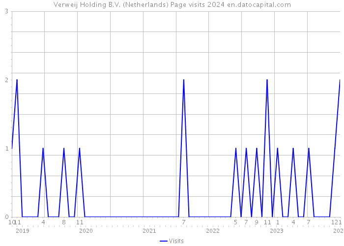 Verweij Holding B.V. (Netherlands) Page visits 2024 