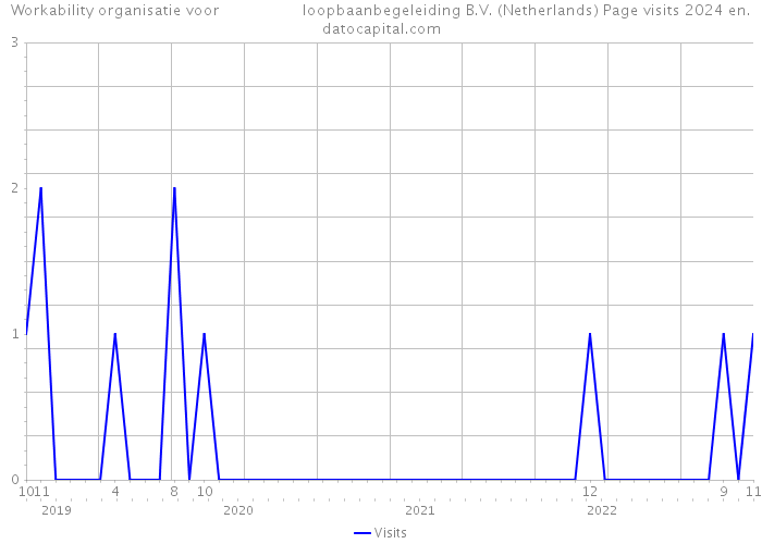 Workability organisatie voor loopbaanbegeleiding B.V. (Netherlands) Page visits 2024 