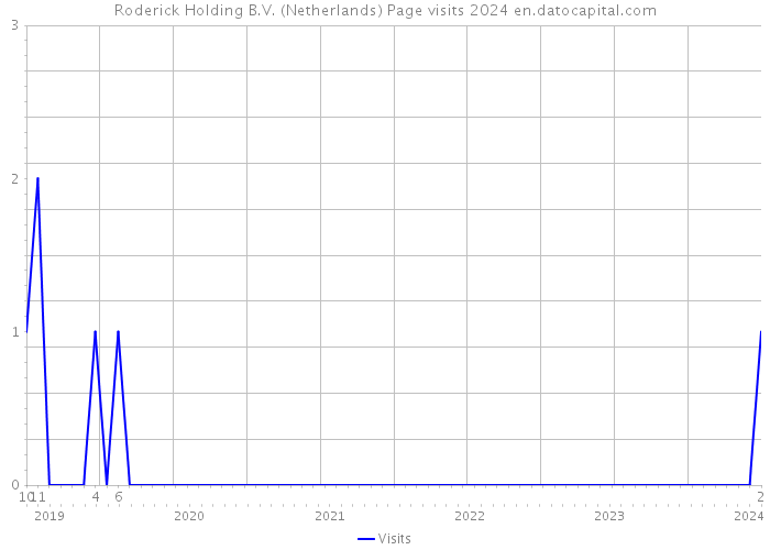 Roderick Holding B.V. (Netherlands) Page visits 2024 
