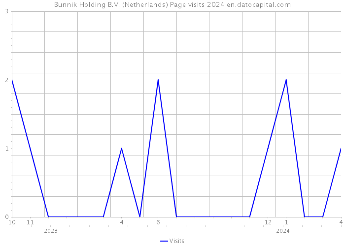 Bunnik Holding B.V. (Netherlands) Page visits 2024 
