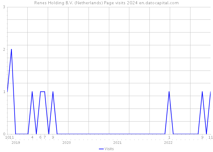 Renes Holding B.V. (Netherlands) Page visits 2024 