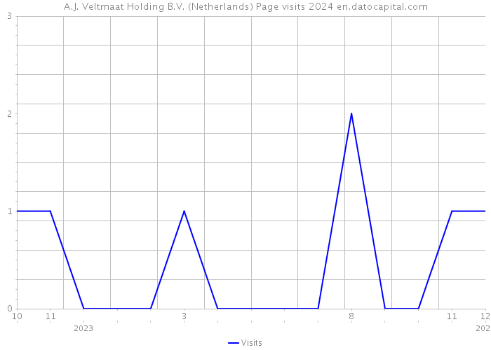A.J. Veltmaat Holding B.V. (Netherlands) Page visits 2024 