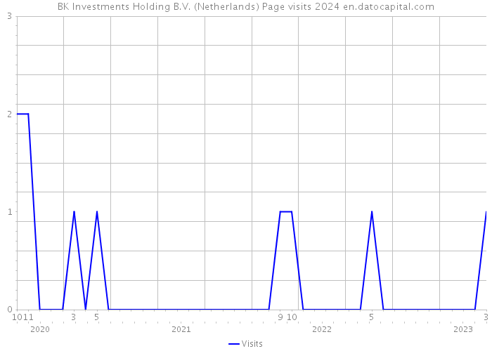 BK Investments Holding B.V. (Netherlands) Page visits 2024 
