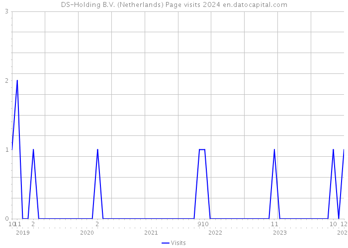 DS-Holding B.V. (Netherlands) Page visits 2024 