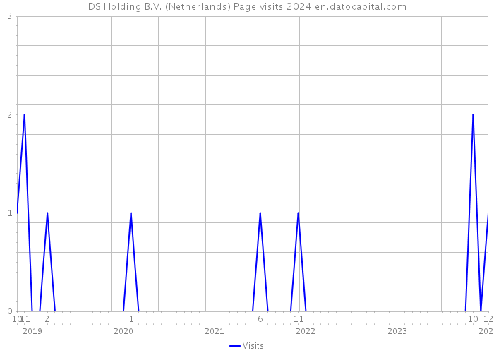 DS Holding B.V. (Netherlands) Page visits 2024 