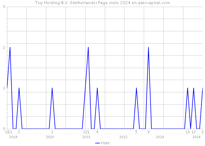 Top Holding B.V. (Netherlands) Page visits 2024 