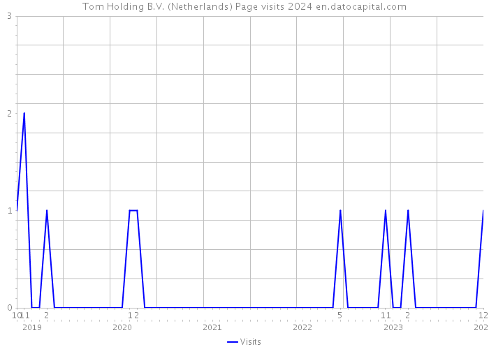 Tom Holding B.V. (Netherlands) Page visits 2024 