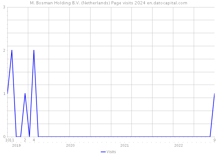 M. Bosman Holding B.V. (Netherlands) Page visits 2024 