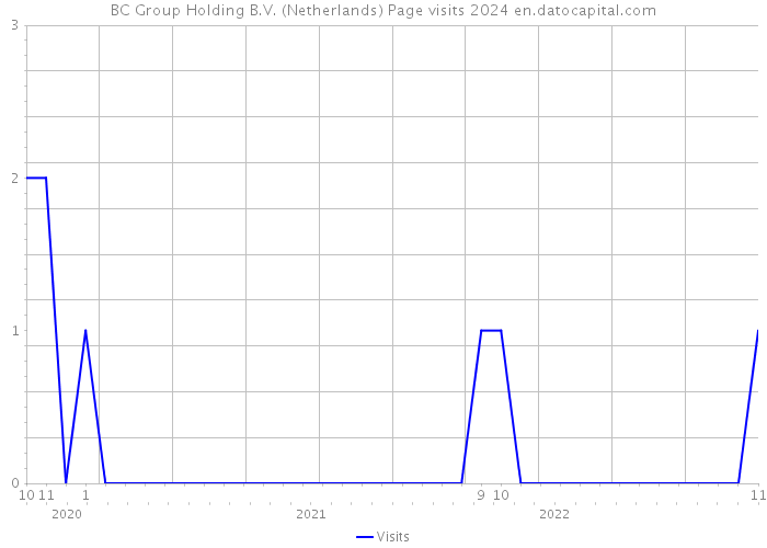 BC Group Holding B.V. (Netherlands) Page visits 2024 
