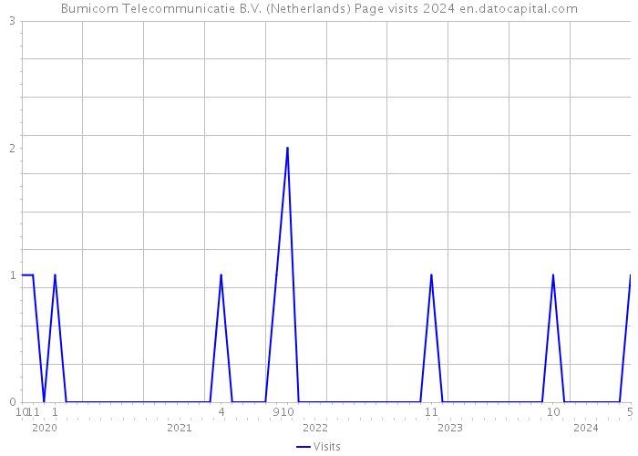 Bumicom Telecommunicatie B.V. (Netherlands) Page visits 2024 