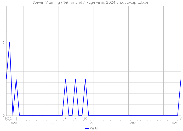 Steven Vlaming (Netherlands) Page visits 2024 