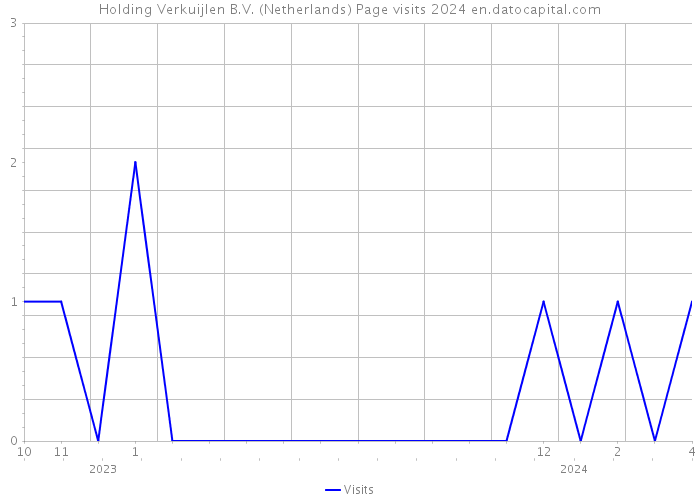 Holding Verkuijlen B.V. (Netherlands) Page visits 2024 