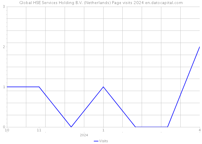 Global HSE Services Holding B.V. (Netherlands) Page visits 2024 
