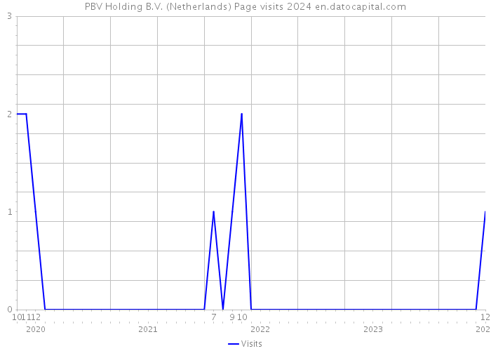 PBV Holding B.V. (Netherlands) Page visits 2024 