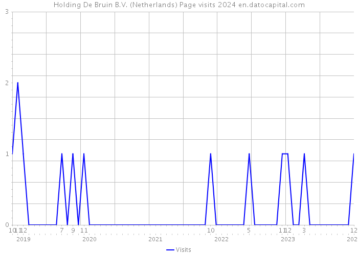 Holding De Bruin B.V. (Netherlands) Page visits 2024 