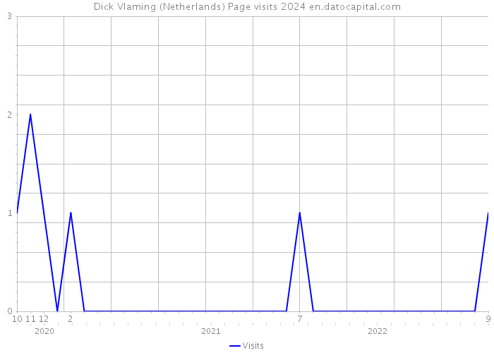 Dick Vlaming (Netherlands) Page visits 2024 