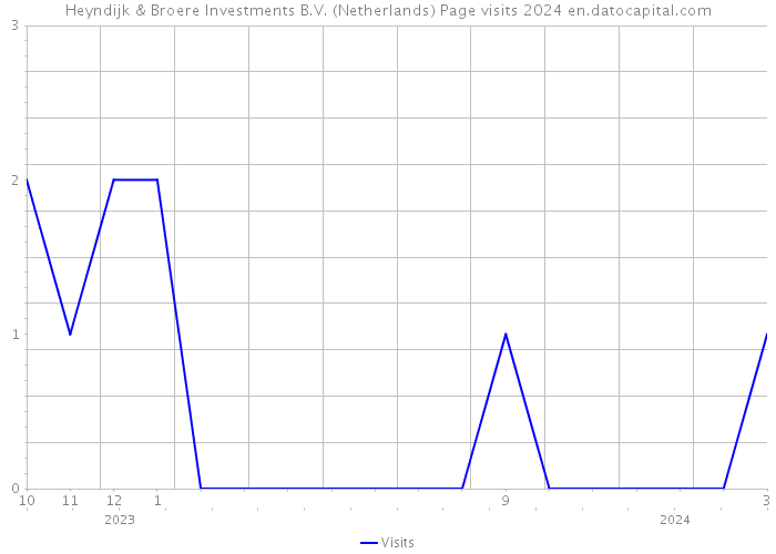 Heyndijk & Broere Investments B.V. (Netherlands) Page visits 2024 