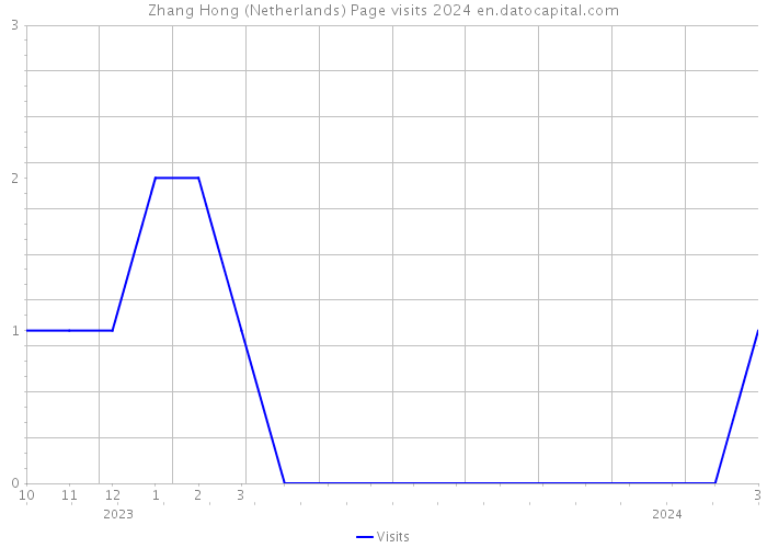 Zhang Hong (Netherlands) Page visits 2024 