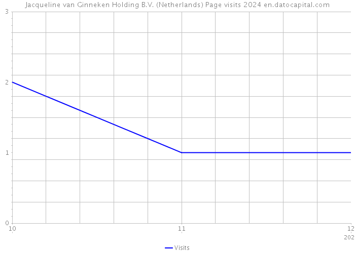 Jacqueline van Ginneken Holding B.V. (Netherlands) Page visits 2024 