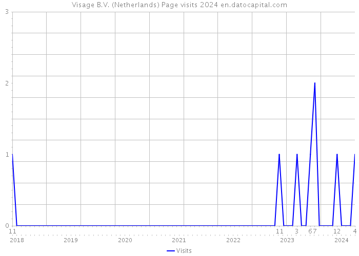 Visage B.V. (Netherlands) Page visits 2024 