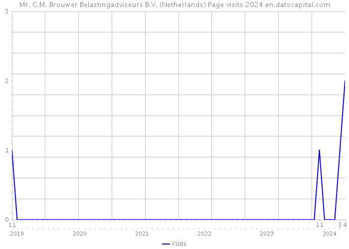 Mr. C.M. Brouwer Belastingadviseurs B.V. (Netherlands) Page visits 2024 