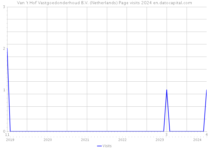 Van 't Hof Vastgoedonderhoud B.V. (Netherlands) Page visits 2024 