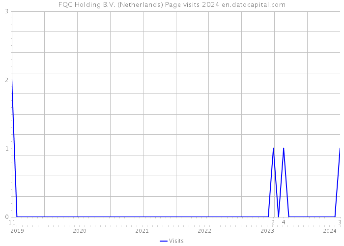 FQC Holding B.V. (Netherlands) Page visits 2024 